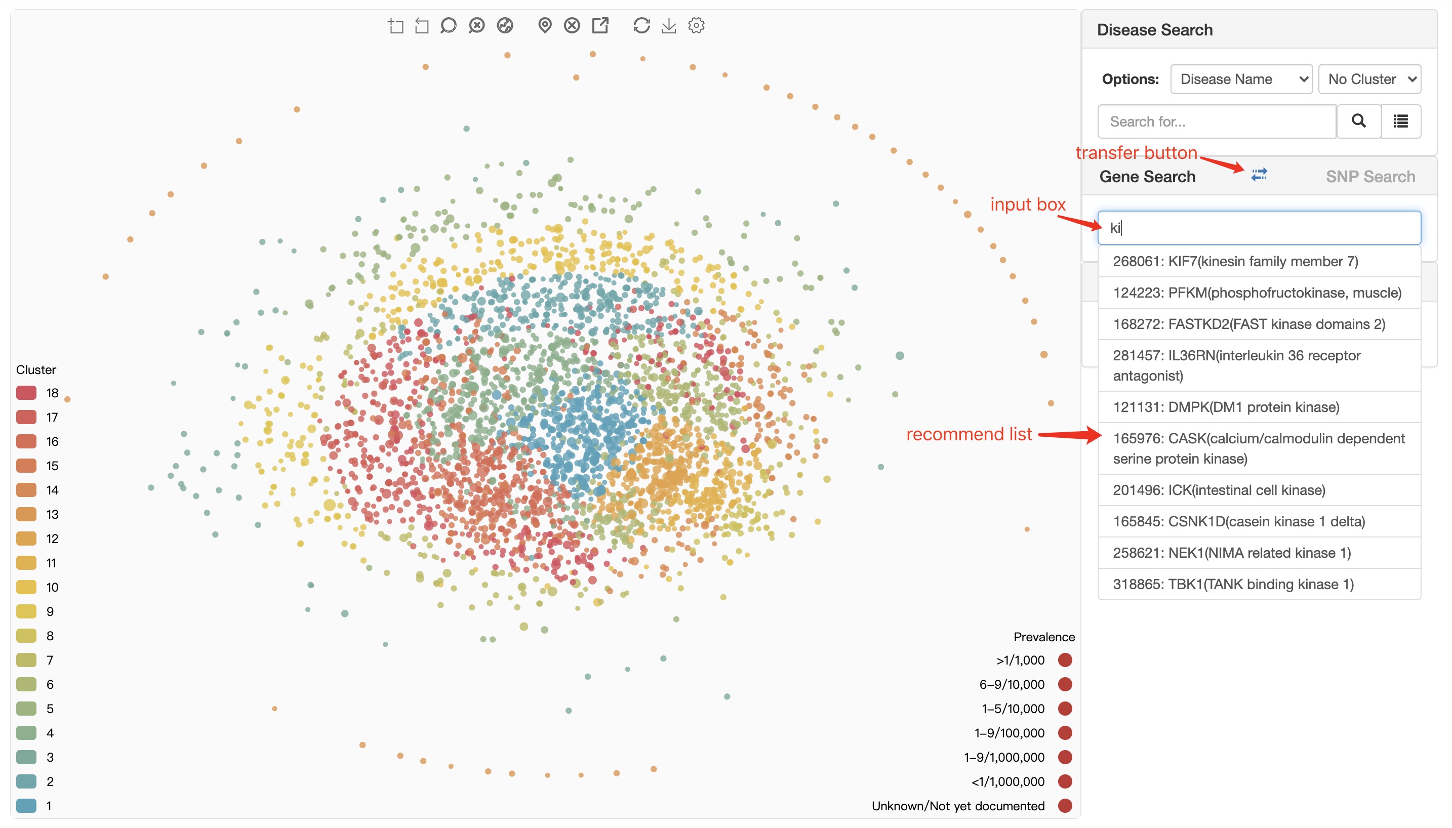 Gene Search